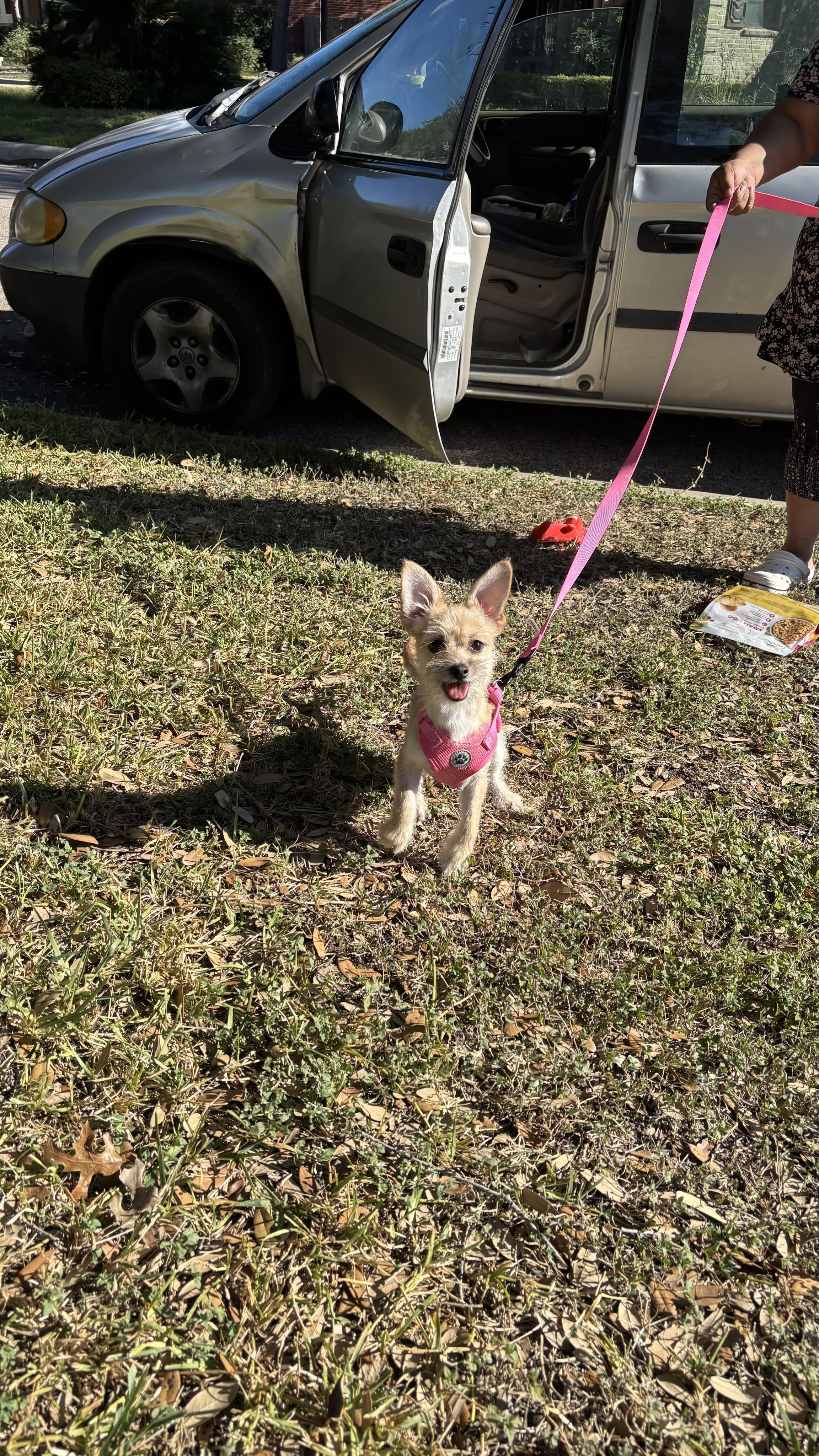 Lunabell thumbnail 2