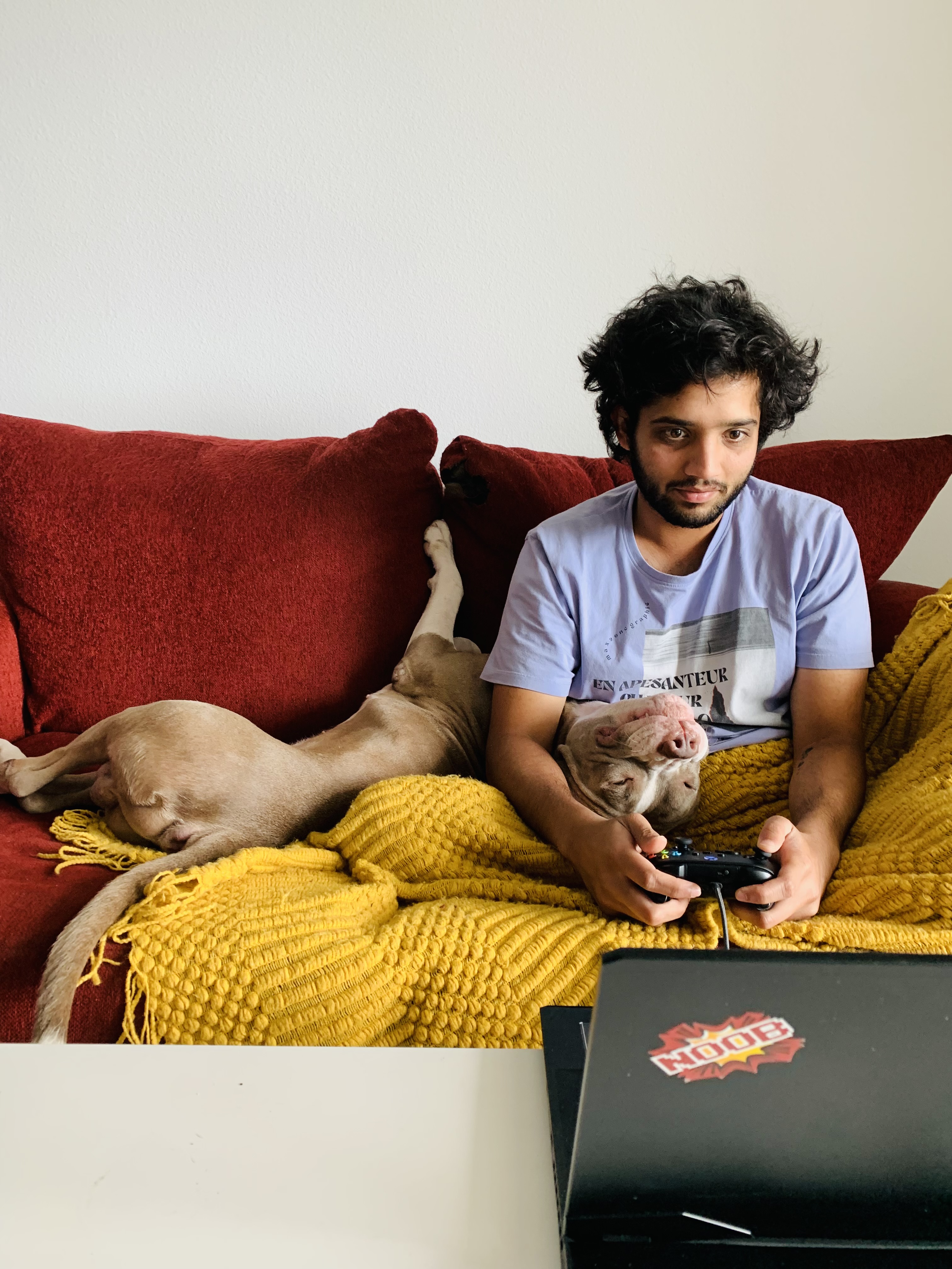 Enlarge Barry, a other mixed breed in Maple Shade, NJ image 4/6