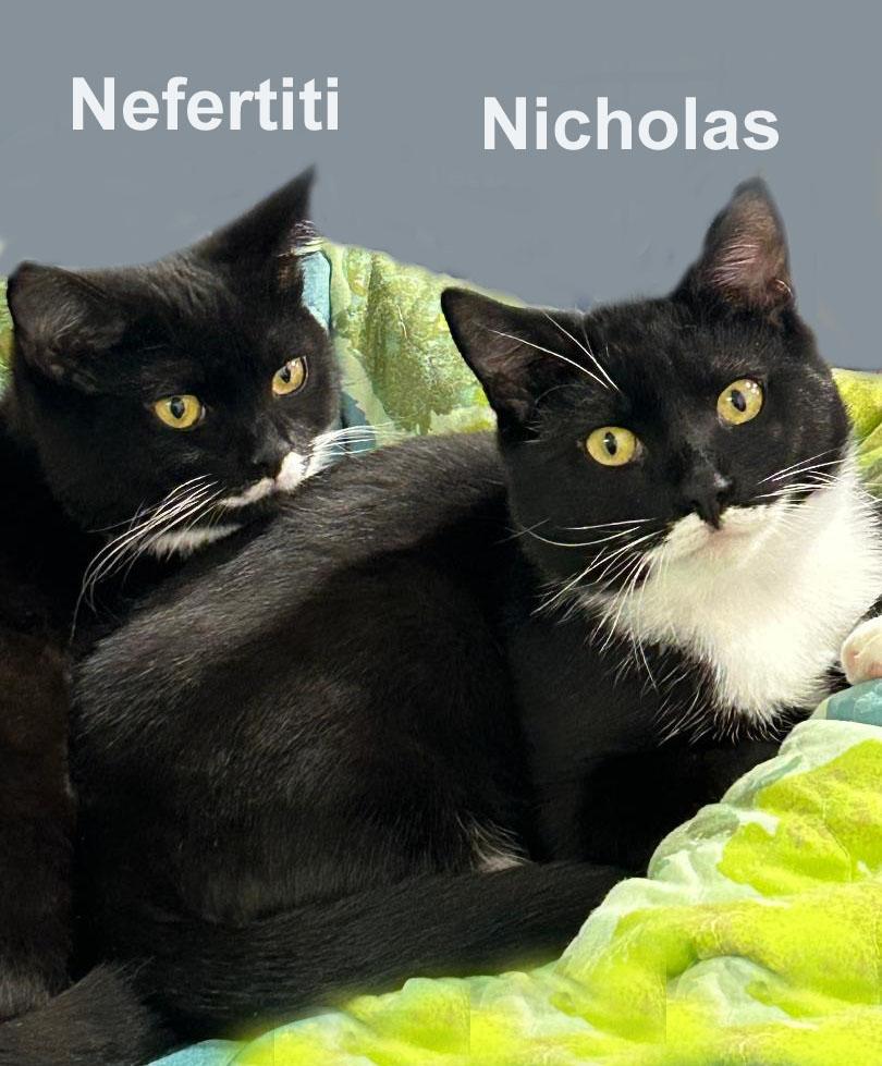 Nicholas and Nefertiti Fuh. (sweet bonded brother & sister)