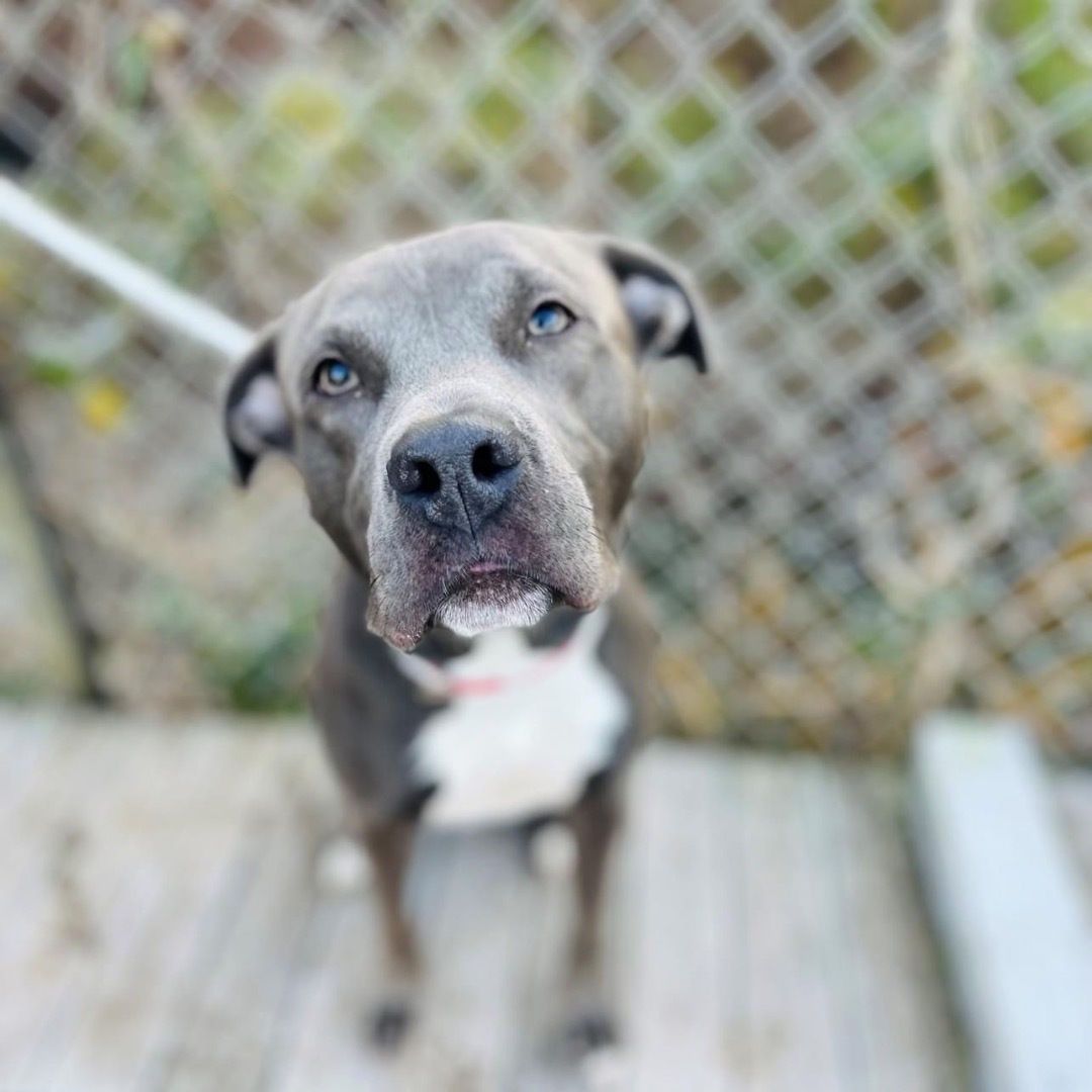 Eve (Loves her furry friends!) 3