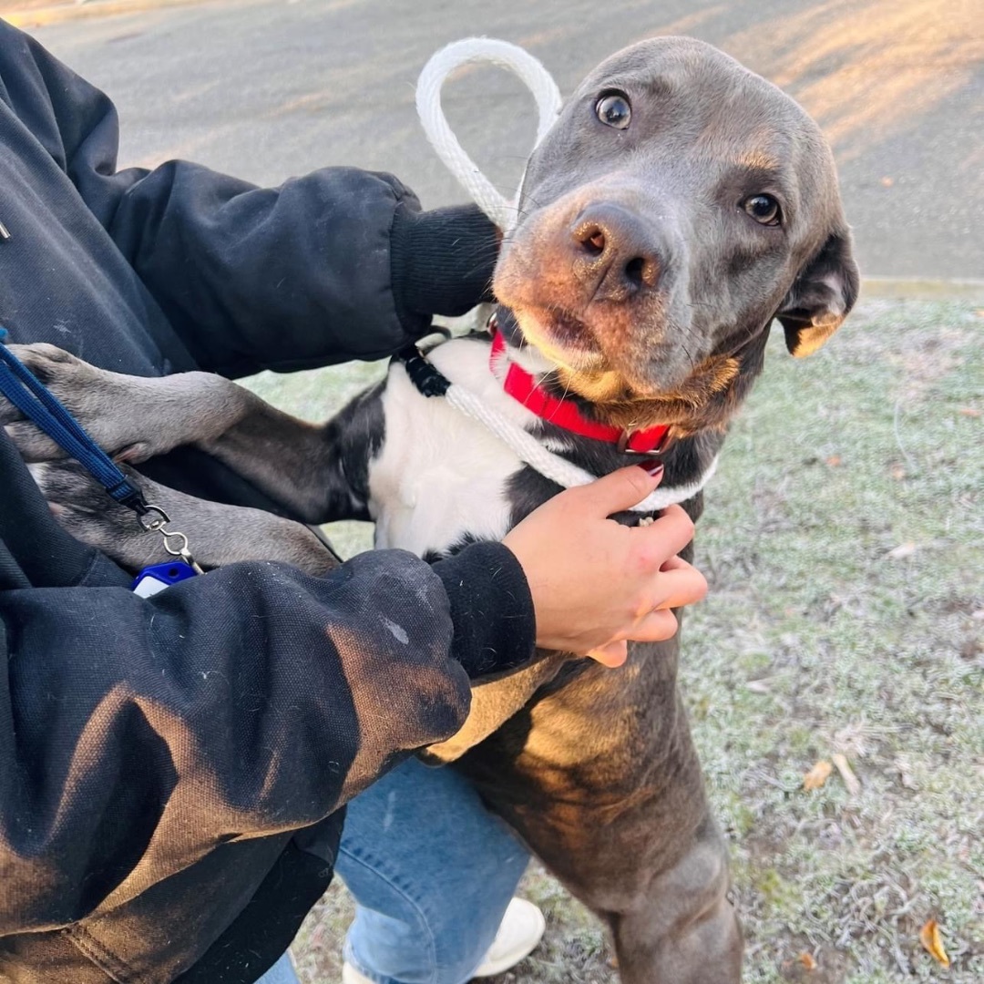 Eve (Loves her furry friends!) 2