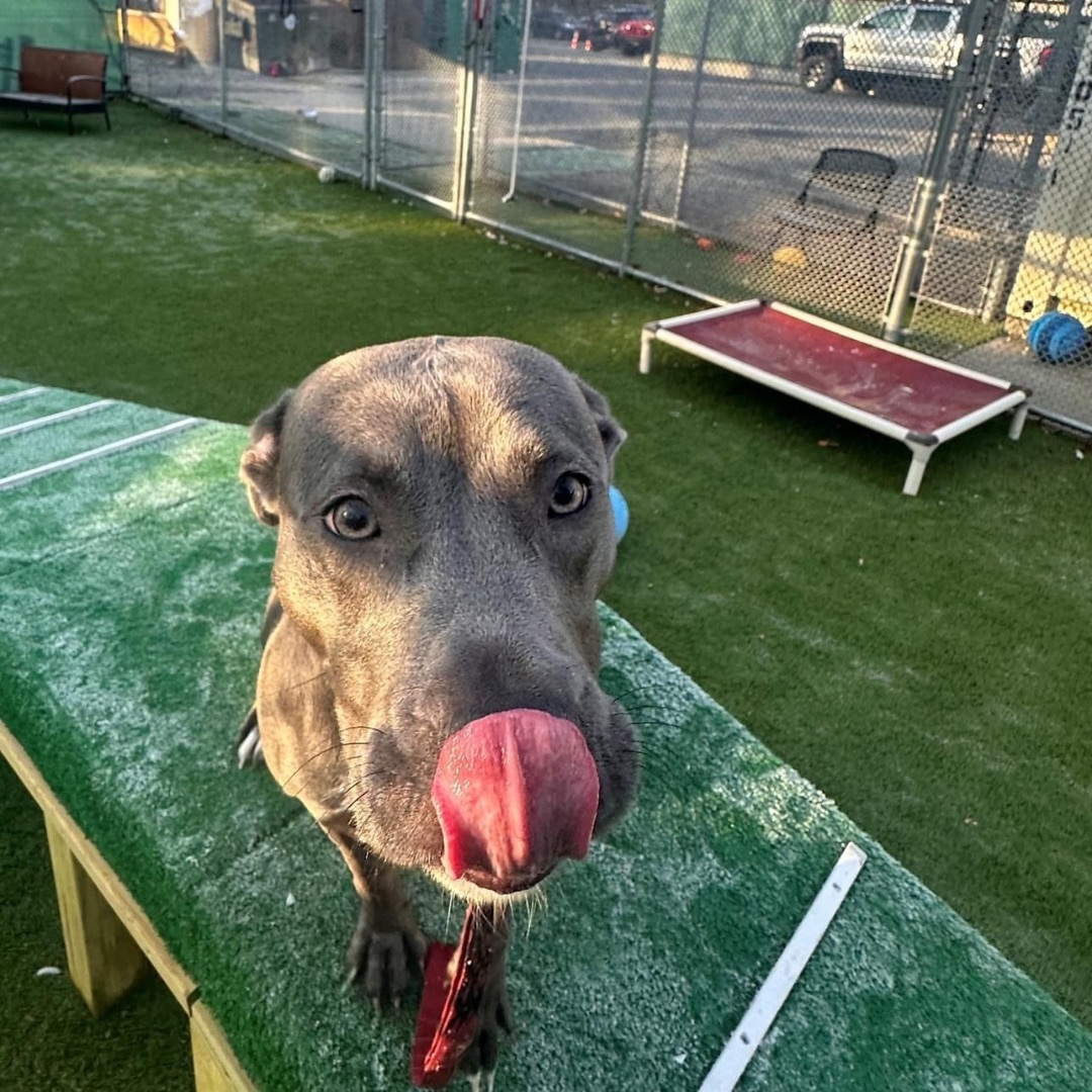 Eve (Loves her furry friends!) 4