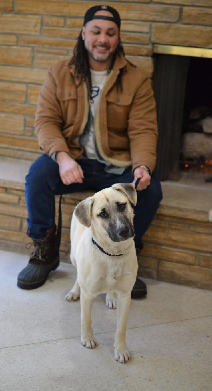 Enlarge Zoey, a ADOPTABLE mixed breed in White Plains, NY image 4/5