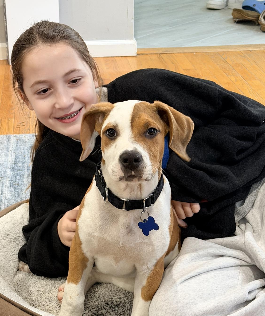 Enlarge Connor, a ADOPTABLE mixed breed in Mahwah, NJ image 4/4