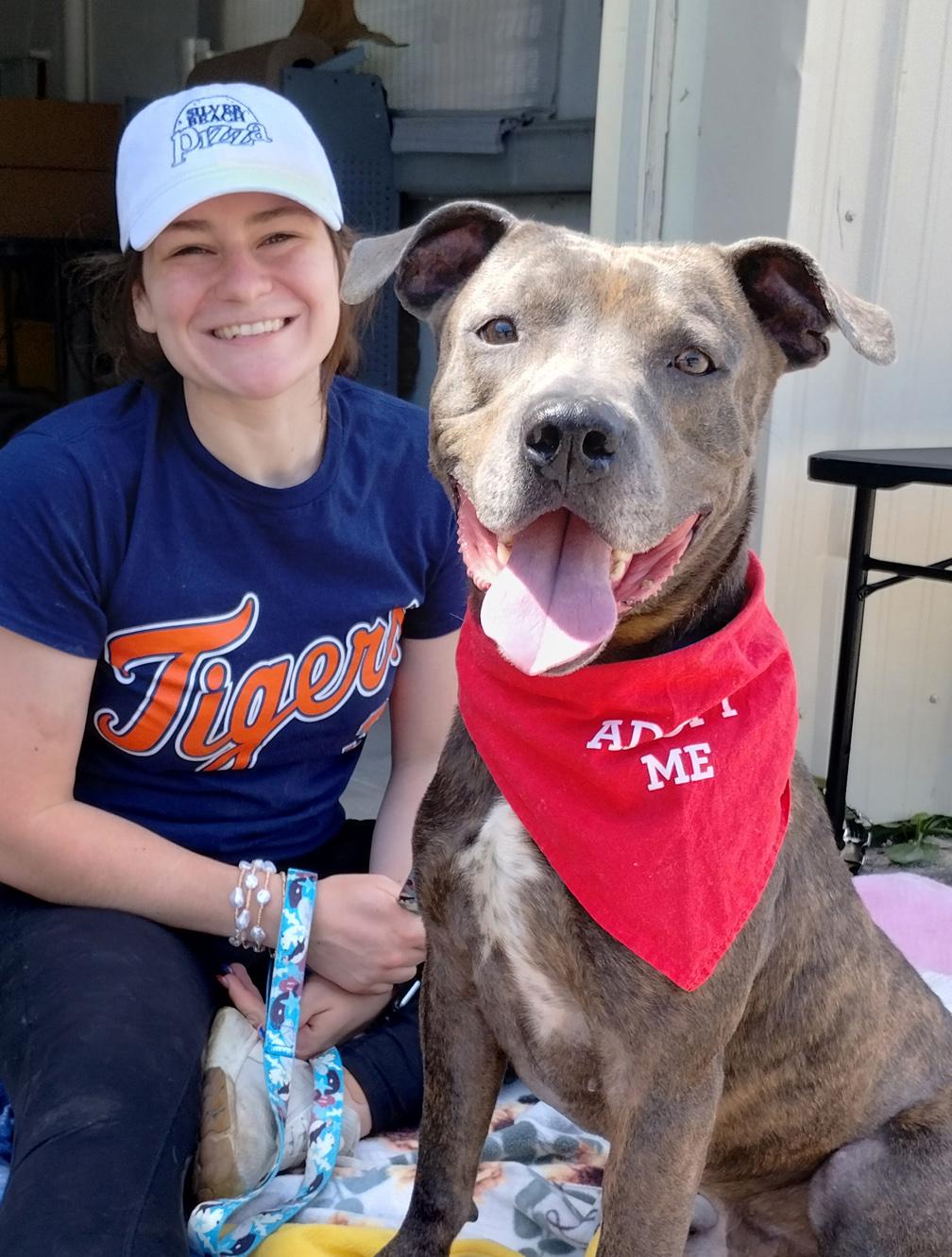 Billy Blue, a ADOPTABLE Mixed Breed in Benton Harbor, MI image 1/6