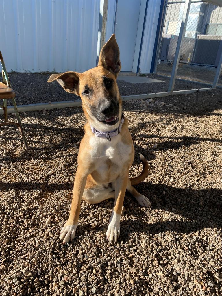 Jenna Nd Impound thumbnail 2