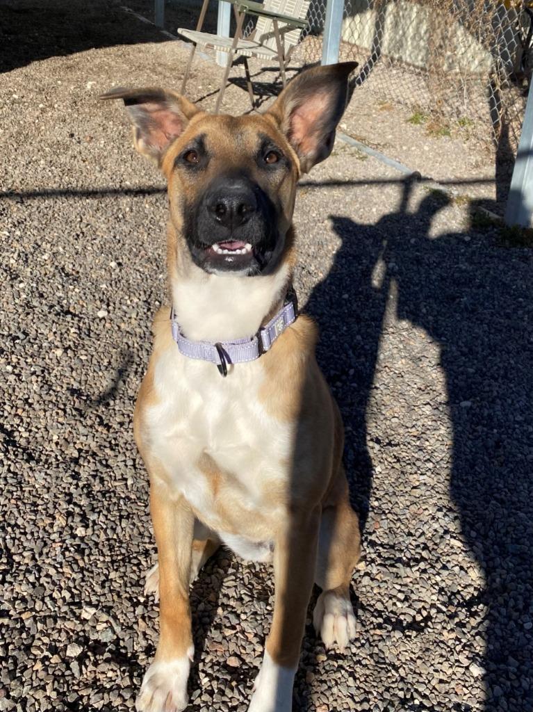 Jenna Nd Impound thumbnail 3