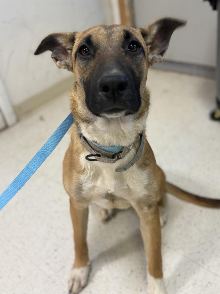 Jenna Nd Impound thumbnail 4