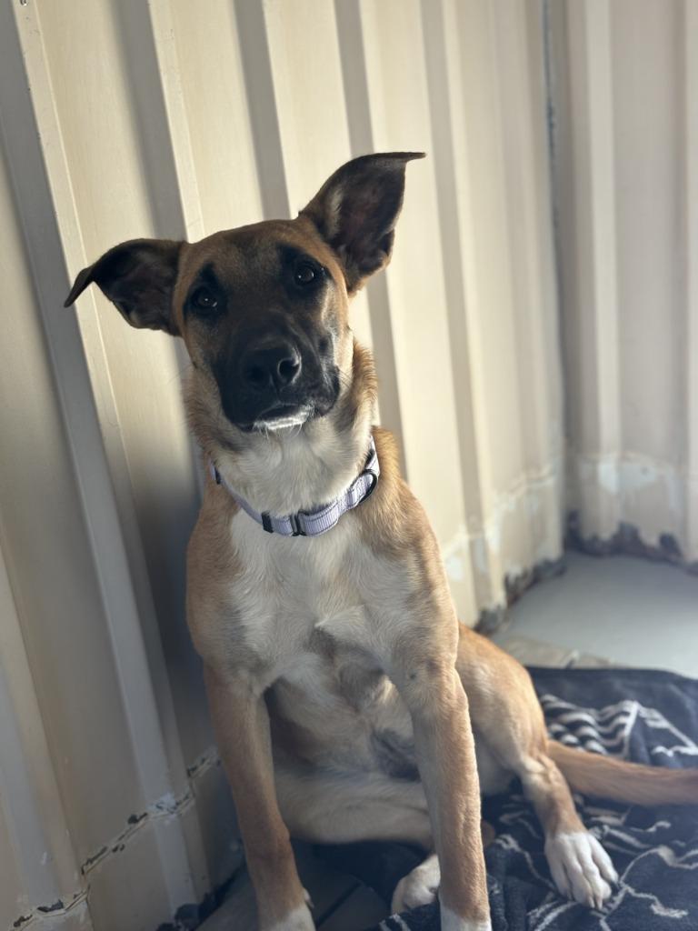 Jenna Nd Impound thumbnail 5