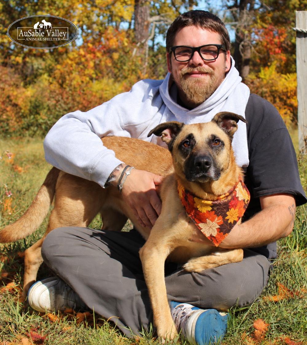 Enlarge Koda, a Adoptable mixed breed in Grayling, MI image 2/6