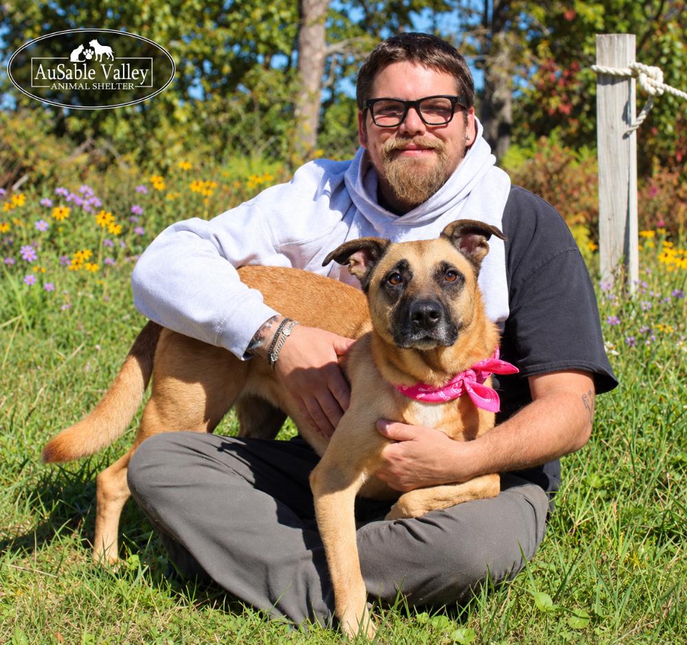 Enlarge Koda, a Adoptable mixed breed in Grayling, MI image 3/6