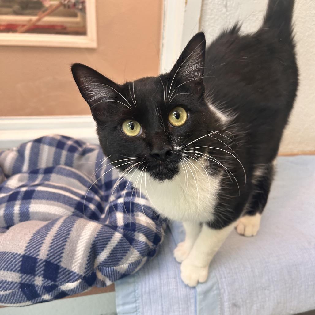 Buster — thumbnail 3