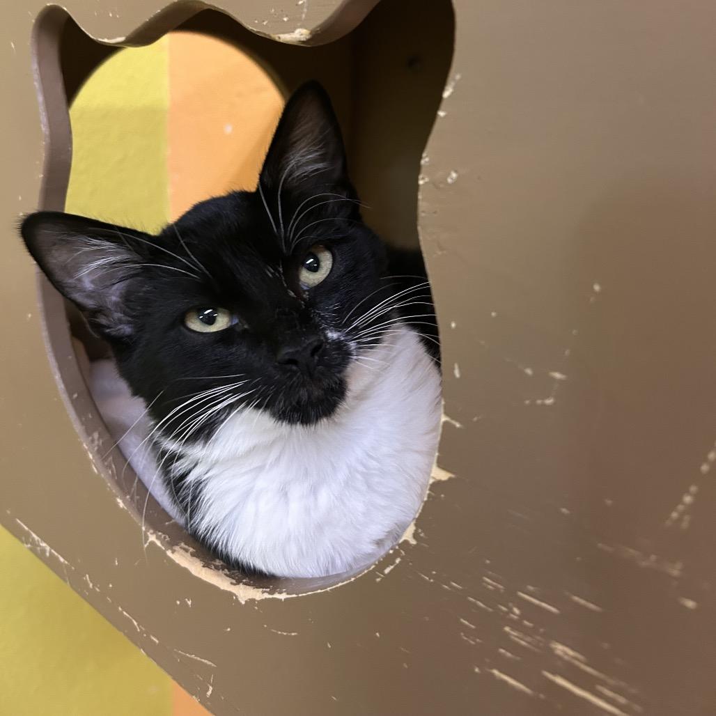 Buster — thumbnail 4