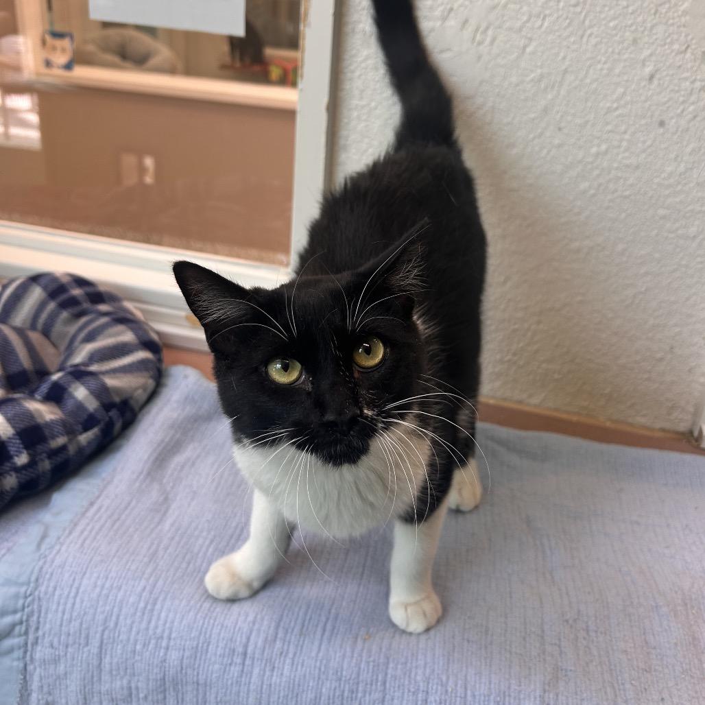 Buster — thumbnail 5