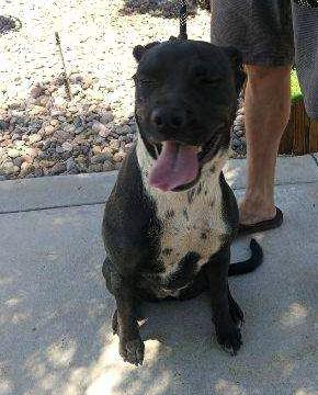Zadie-Hesperia, CA