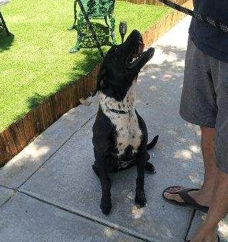 Zadie-Hesperia, CA
