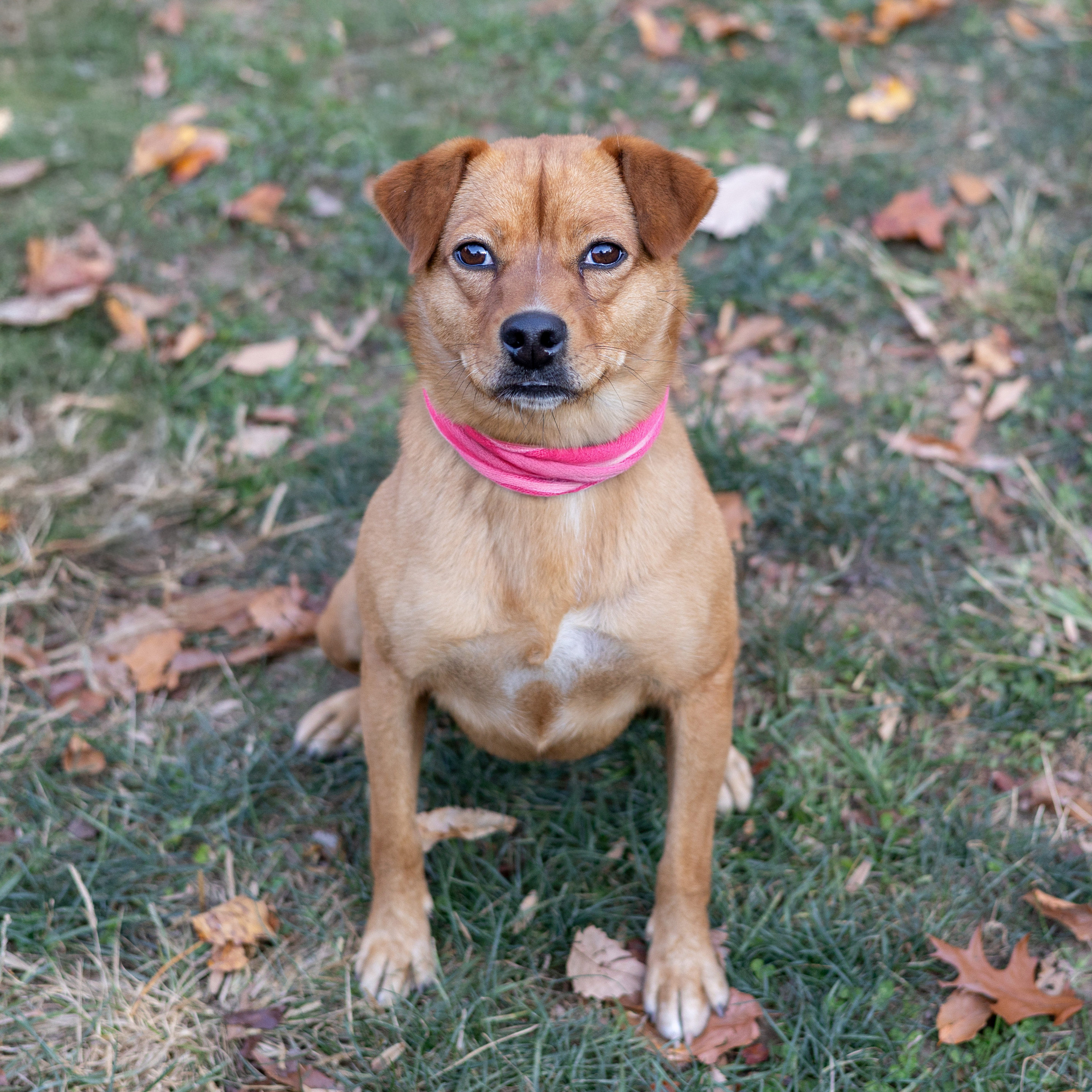 Juno (Female)