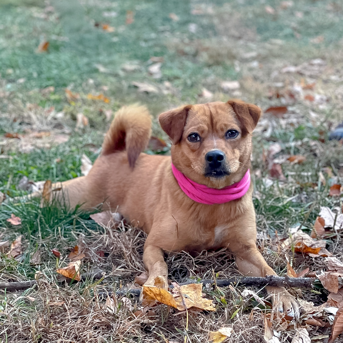 Juno (Female)