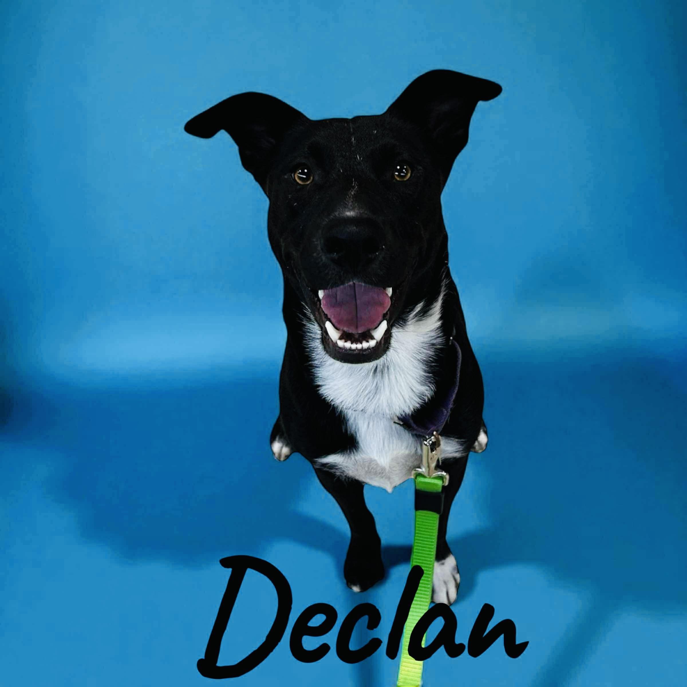 Declan