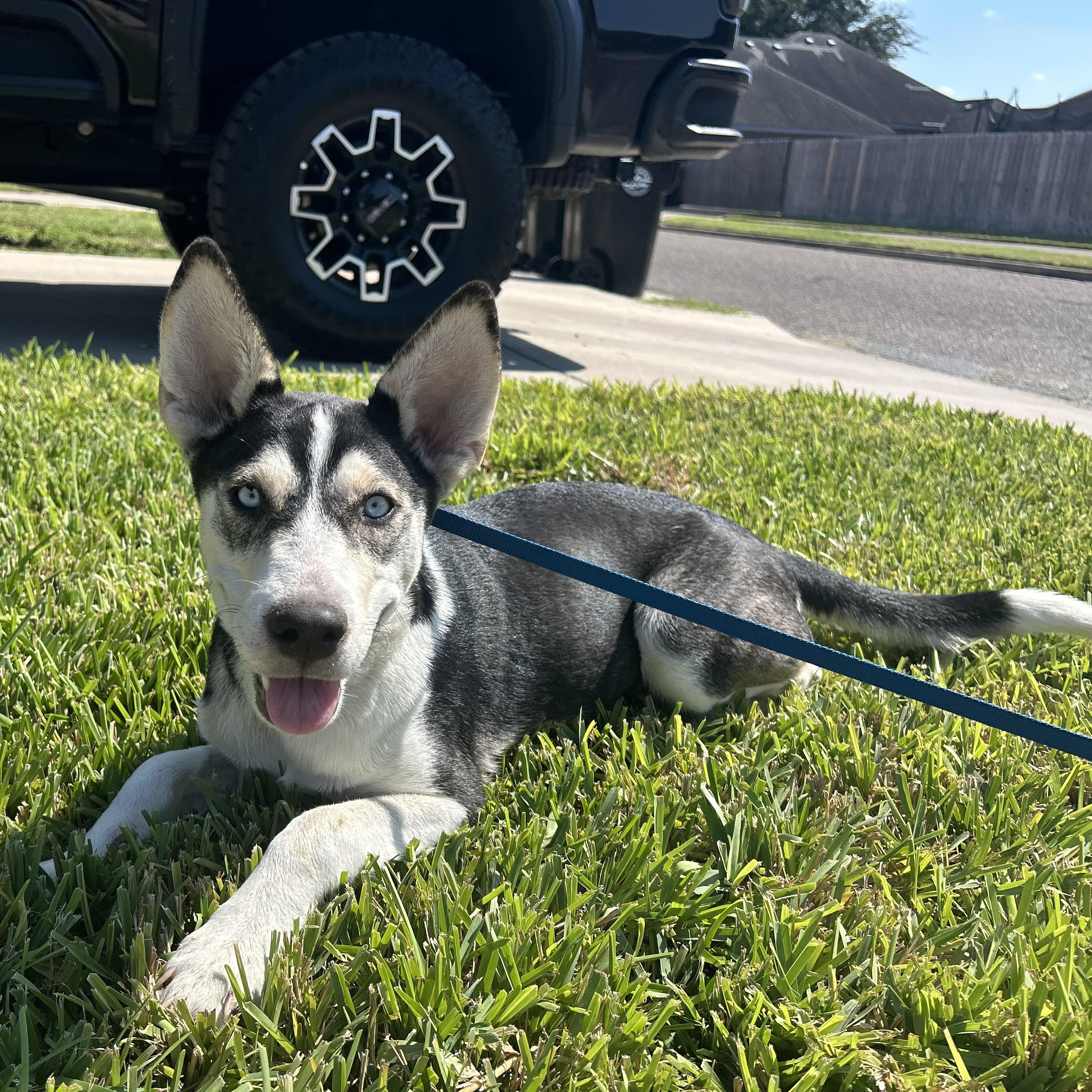 Athena