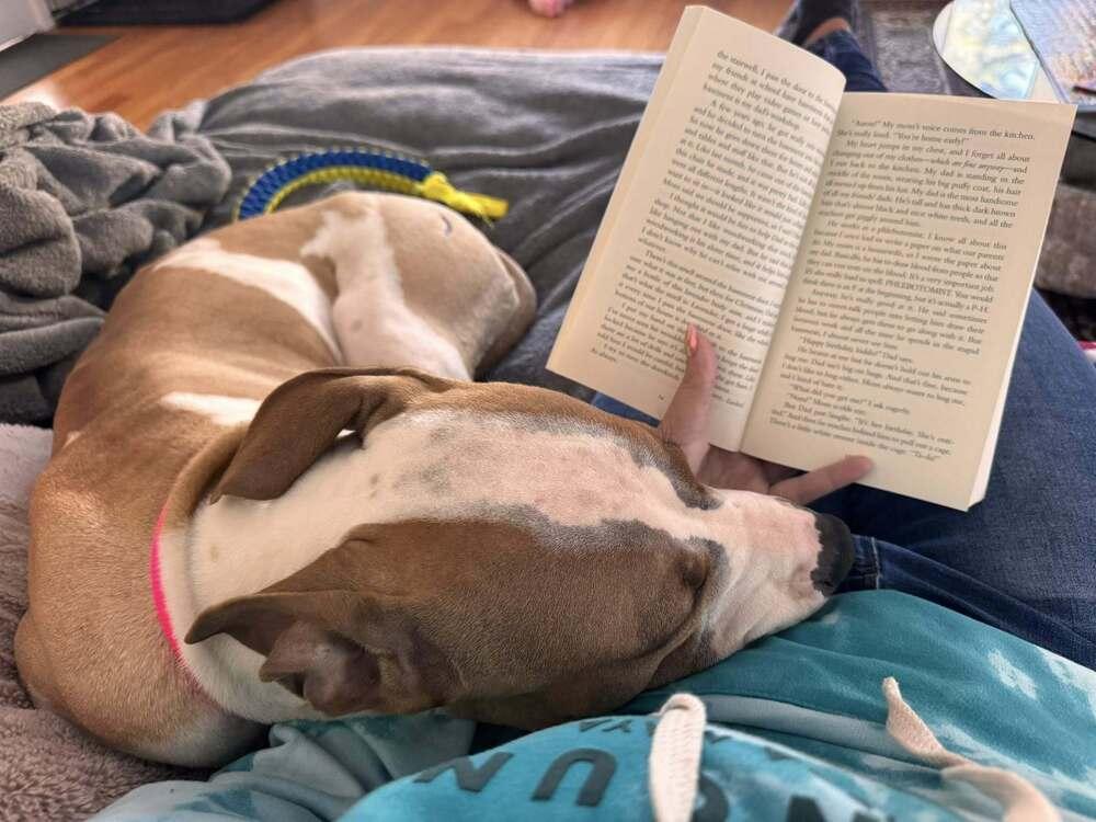 Wanda Joy thumbnail 2