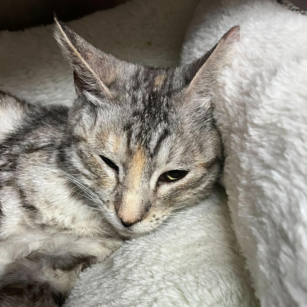 Squiggles — thumbnail 3