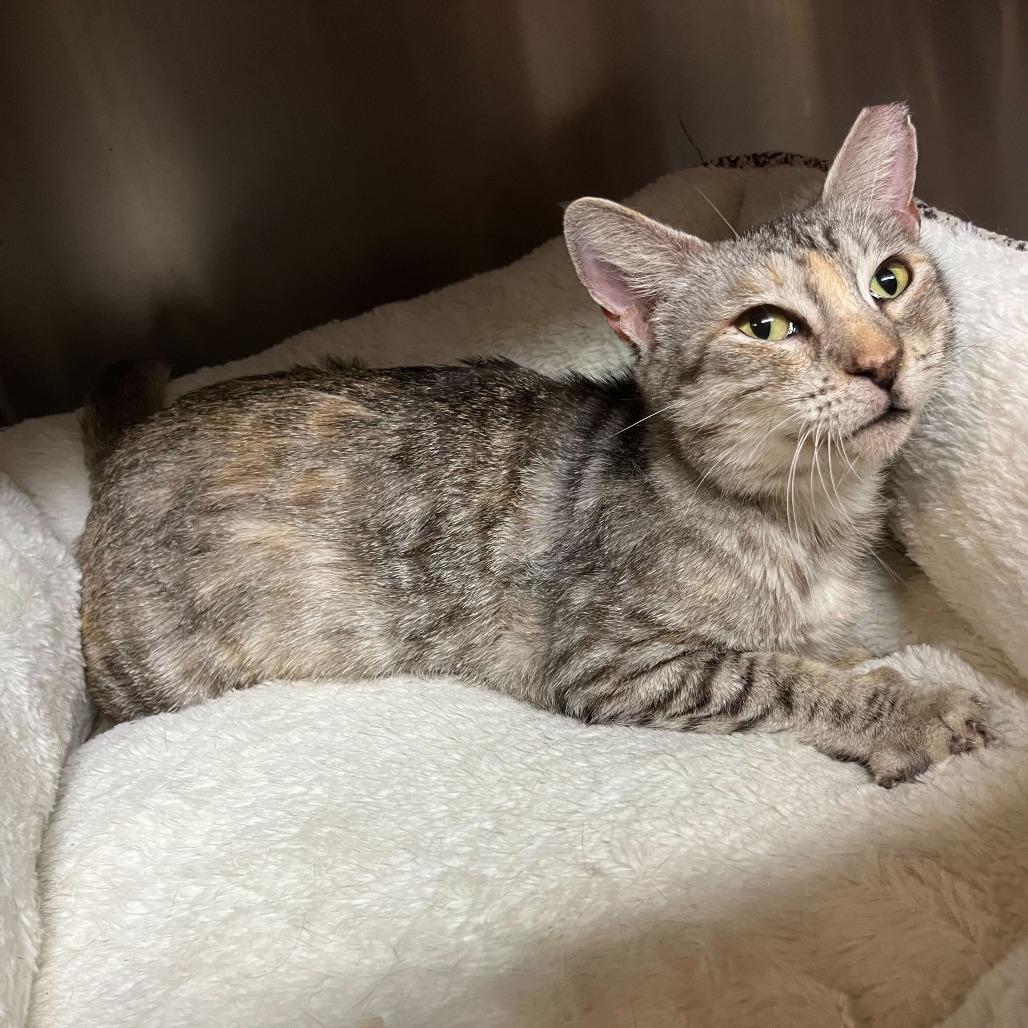 Squiggles — thumbnail 4