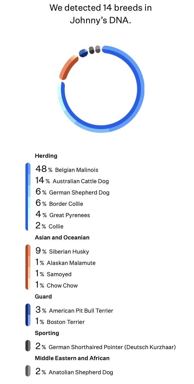 Enlarge Johnny, an adoptable mixed breed in Silvana, WA image 5/6