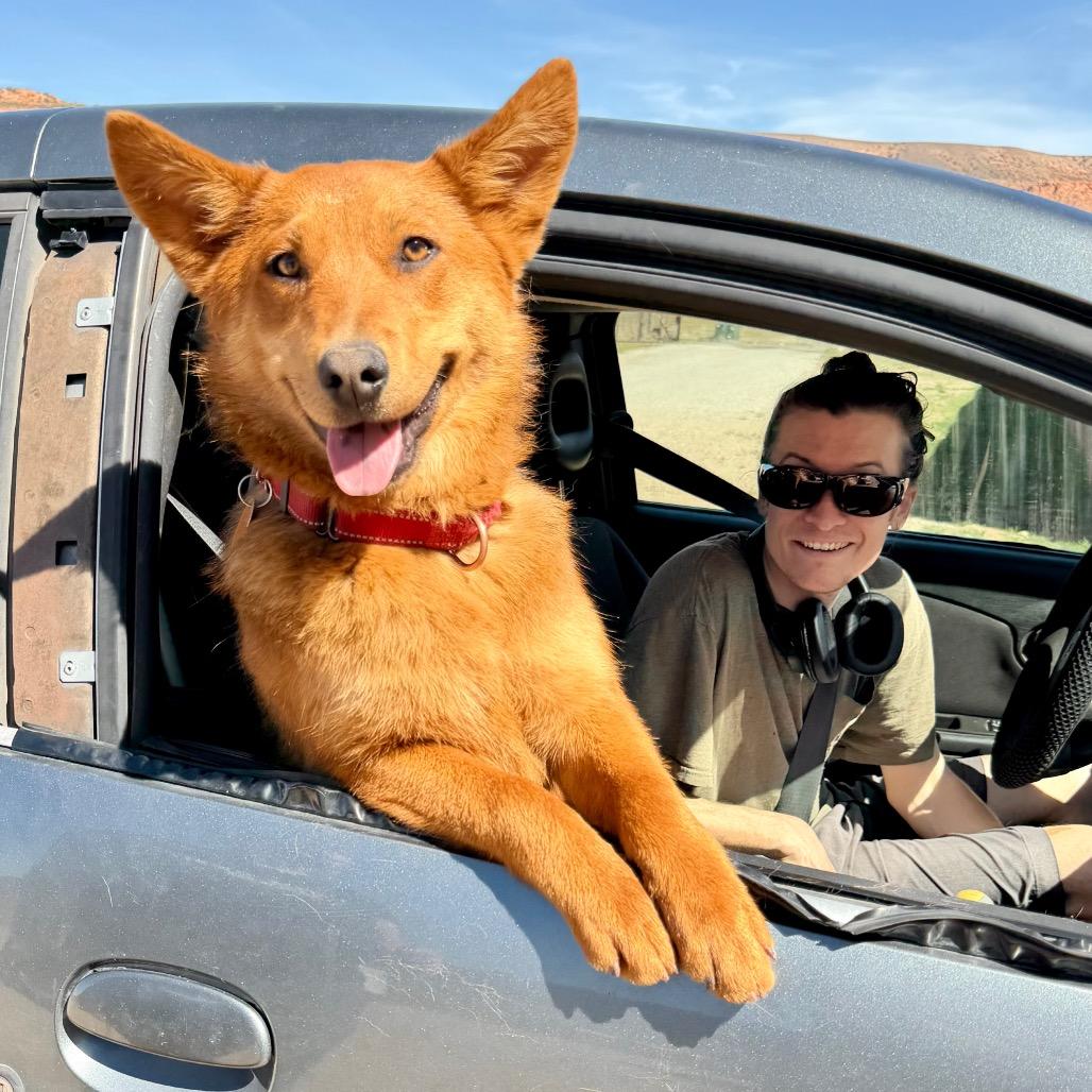 Zelda, a Adoptable Mixed Breed in Moab, UT image 6/6