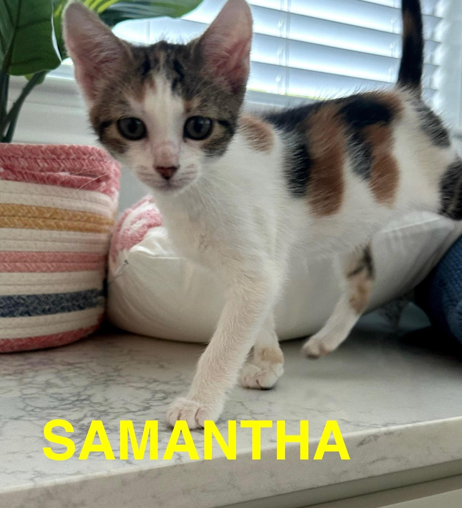 Samantha photo 2
