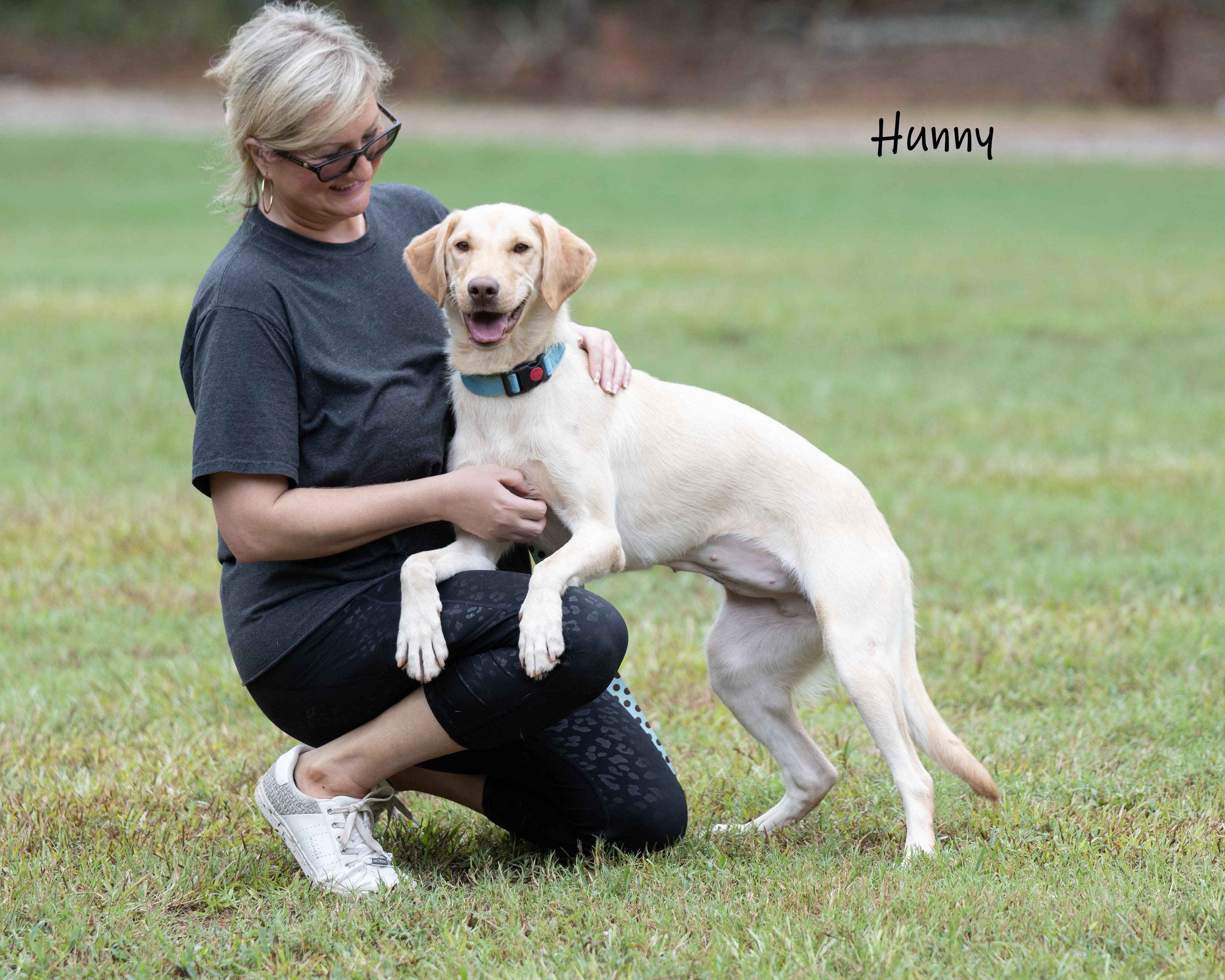 Enlarge Hunny, a Adoptable mixed breed in Bishop, GA image 6/6
