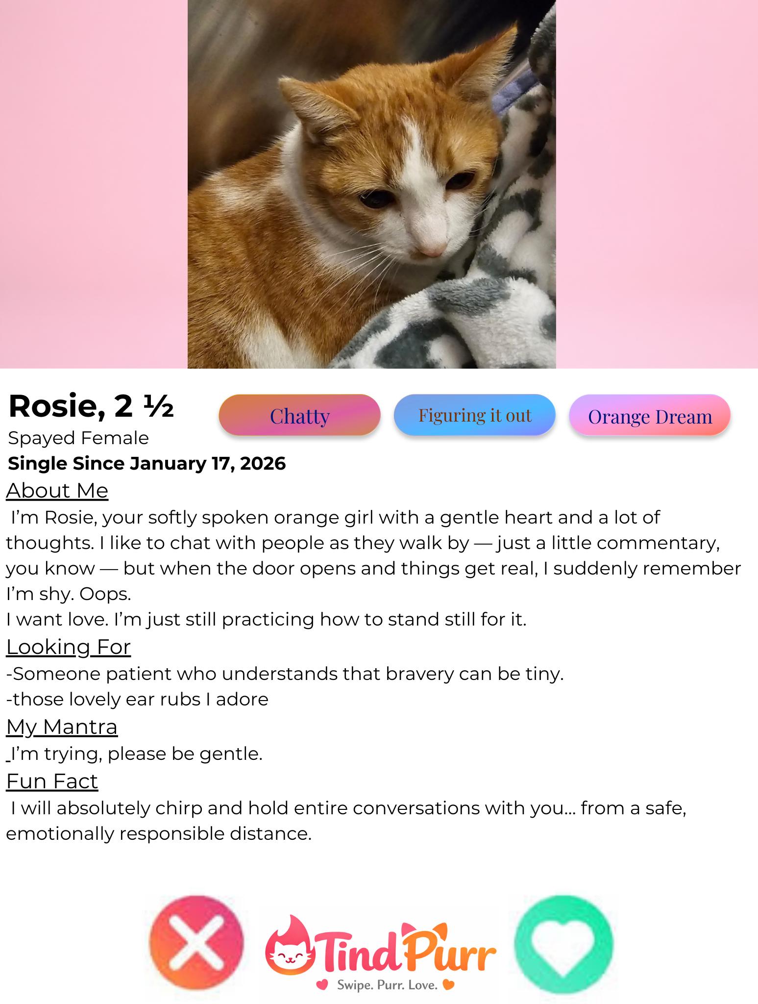 Rosie — thumbnail 2