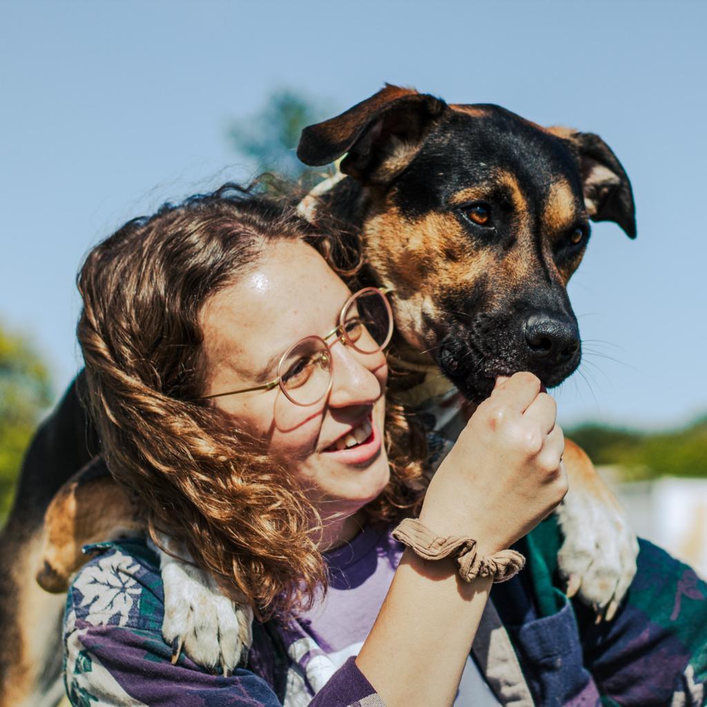 Enlarge Ace, a Adoptable mixed breed in Evansville, IN image 4/6