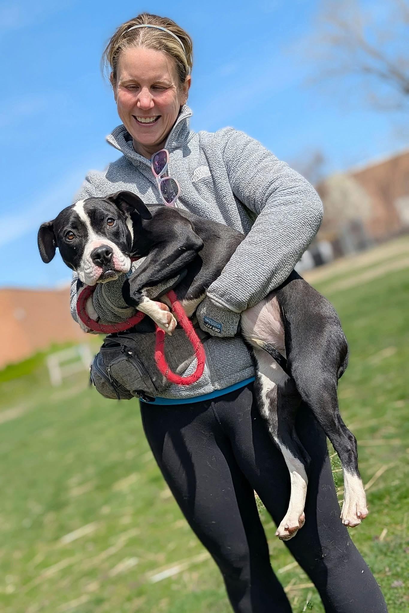 Enlarge Dilly, an adopted Pit Bull Terrier in Chicago, IL image 3/5