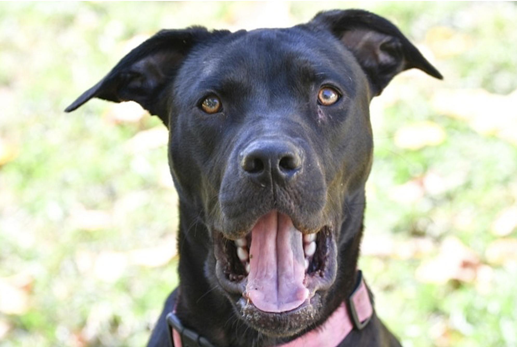 Tula Baloola — thumbnail 4