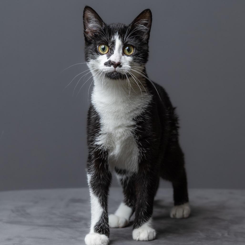 Charlotte thumbnail 3