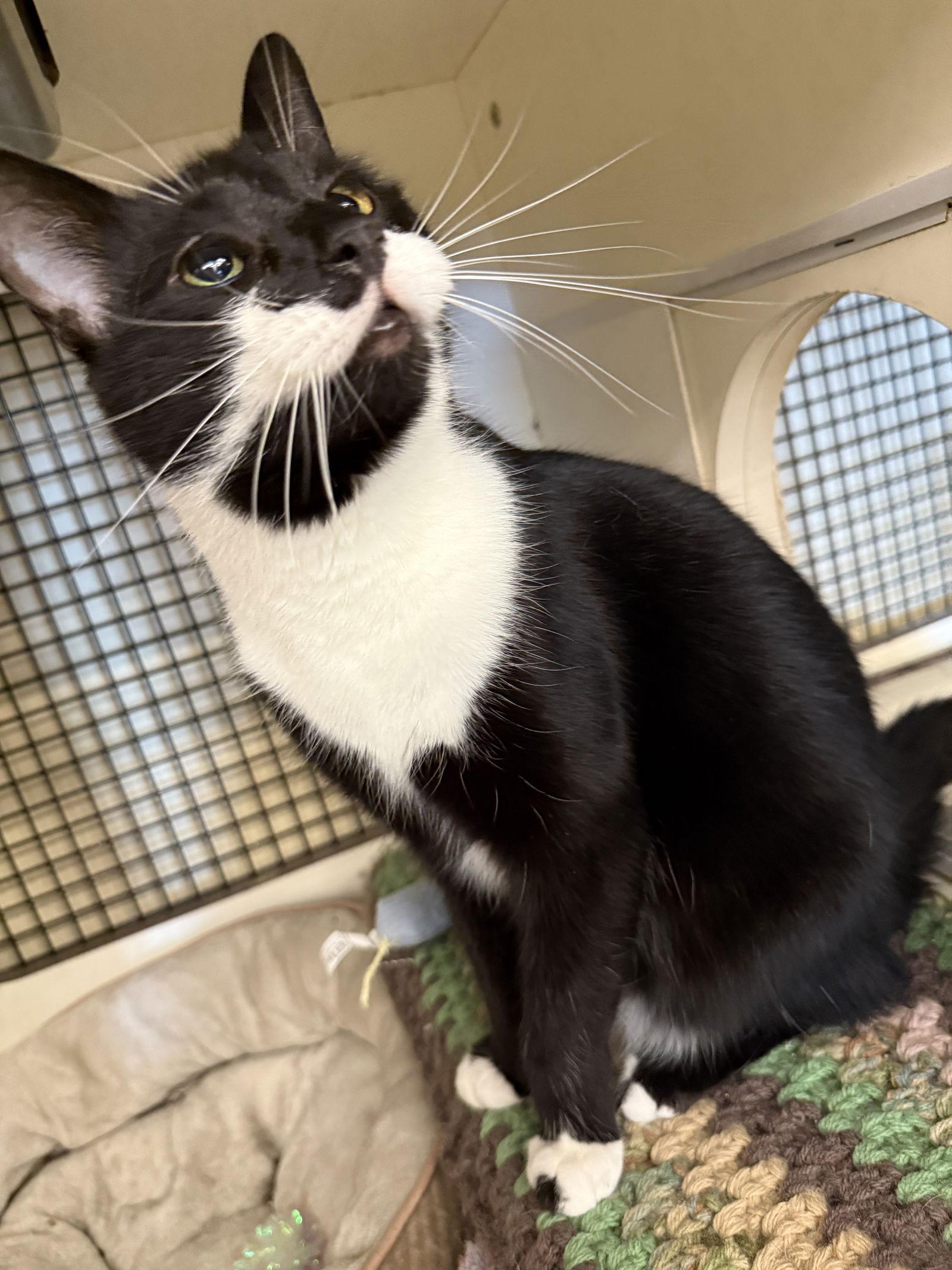 Hyperion thumbnail 2