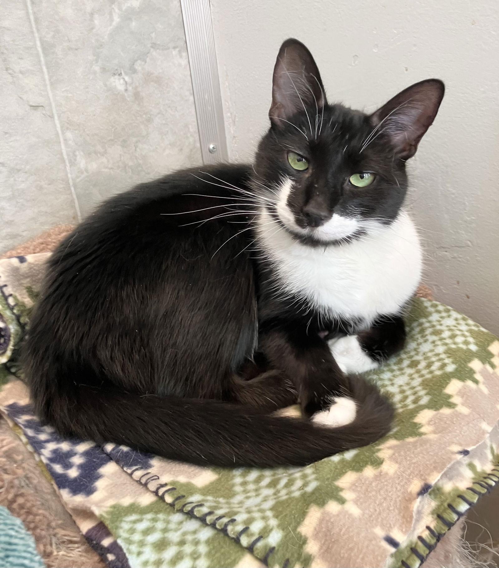 Hyperion thumbnail 3