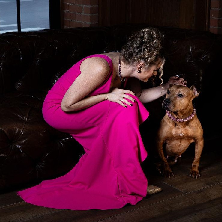 Dylan, a Adoptable mixed breed in Oak Park, MI image 1/5