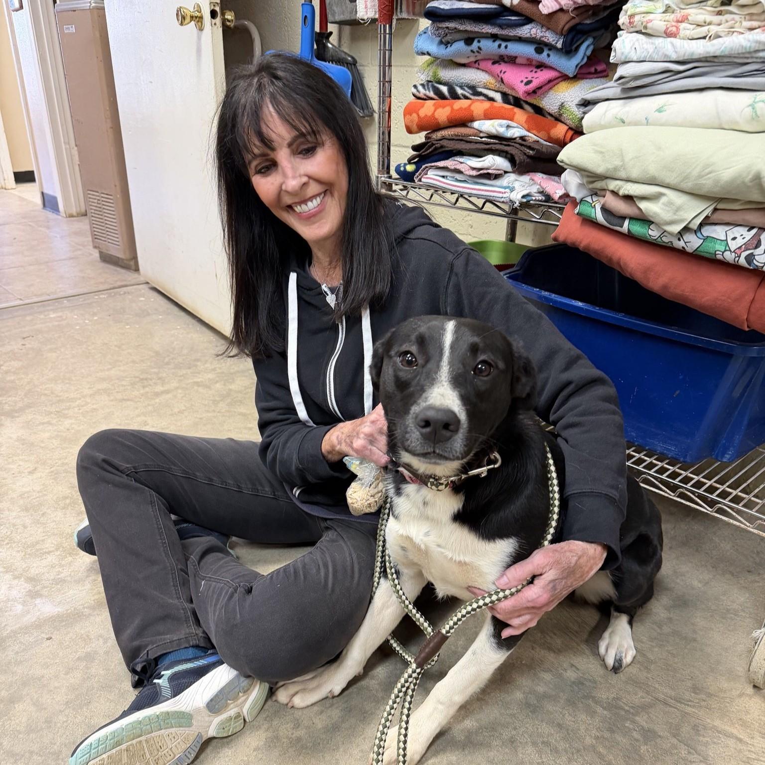 Enlarge Betty, a Adoptable Mixed Breed in Searcy, AR image 5/5