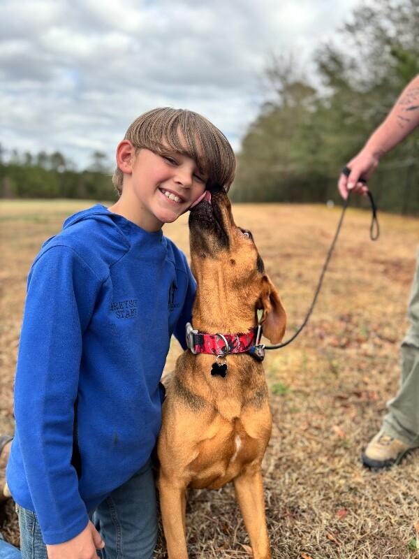 Enlarge Lou, a Adoptable mixed breed in Berkeley Heights, NJ image 4/6
