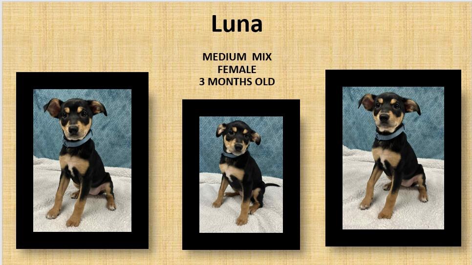 Luna