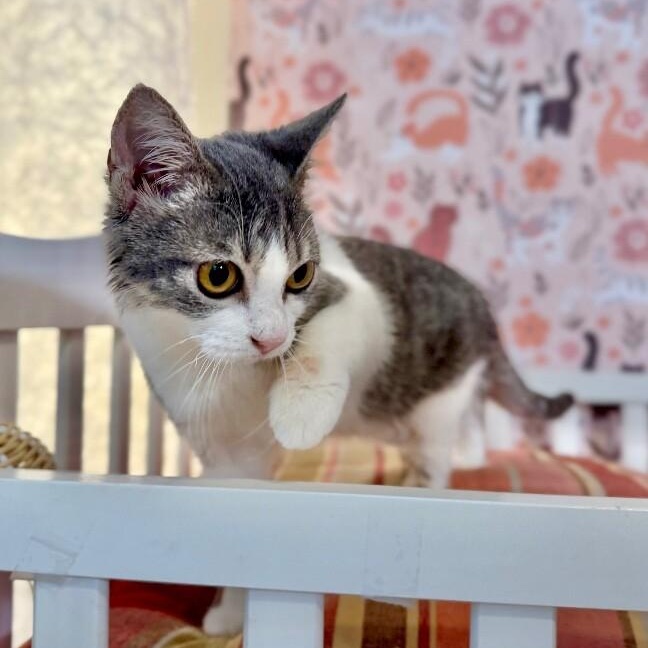 Karli Grace — thumbnail 5