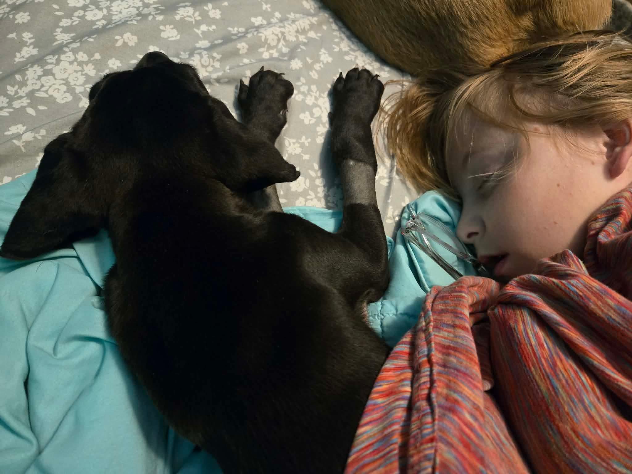 Enlarge Token, a Adoptable mixed breed in Portland, OR image 3/6