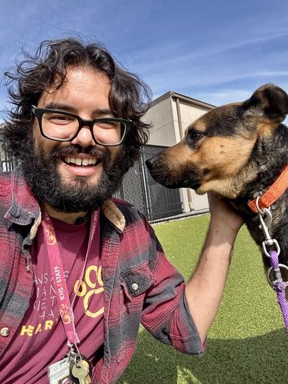 Enlarge Ramsey, a Adoptable mixed breed in Wichita, KS image 1/3