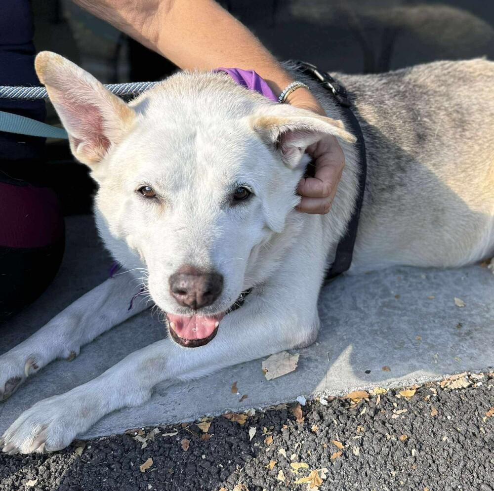 Akiko — thumbnail 2