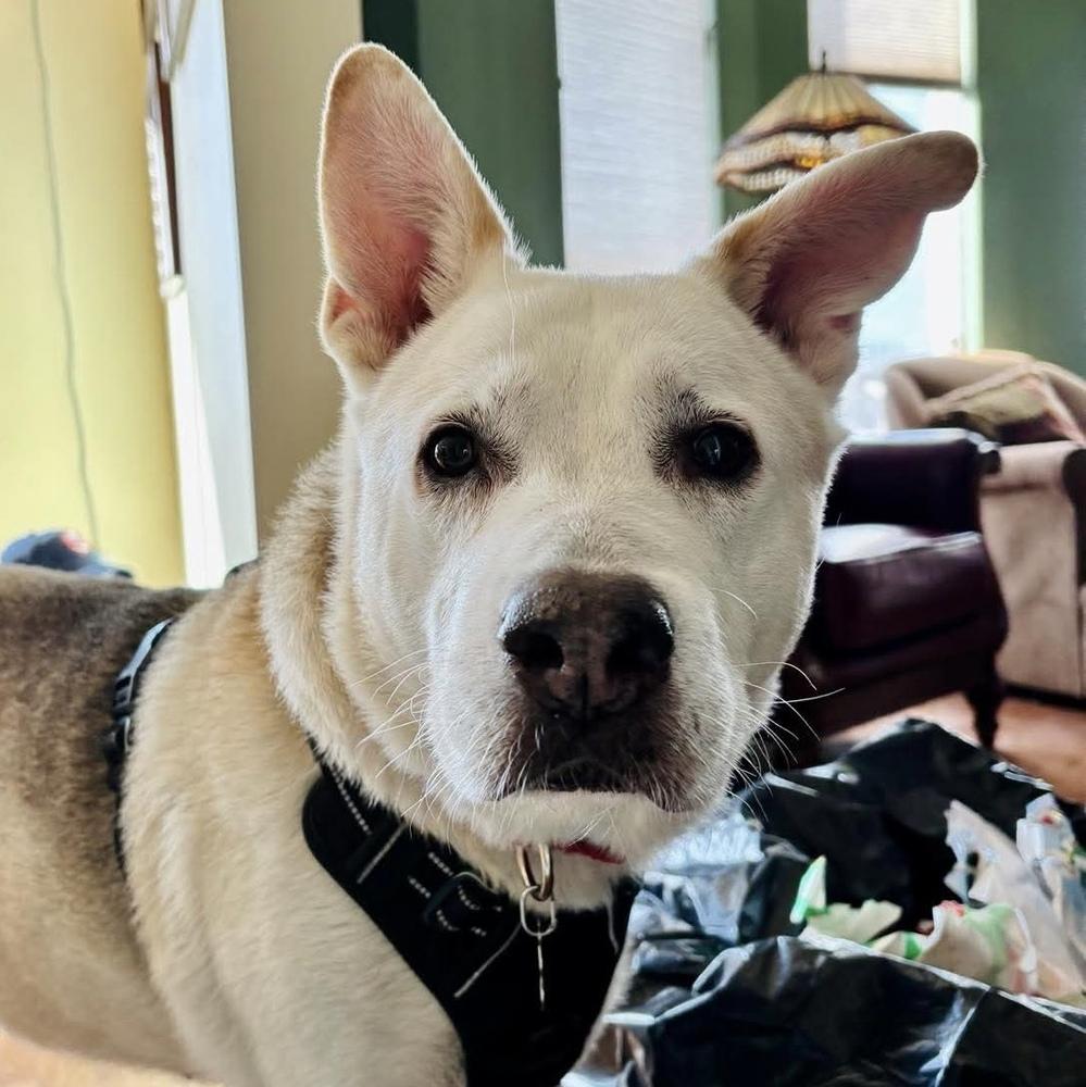 Akiko — thumbnail 3