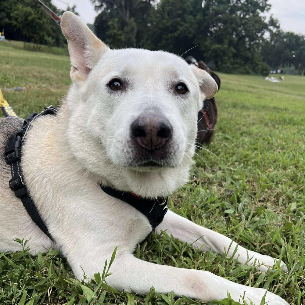 Akiko — thumbnail 4