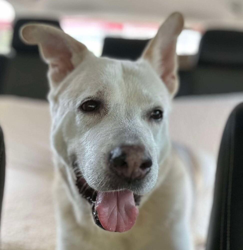 Akiko — thumbnail 5