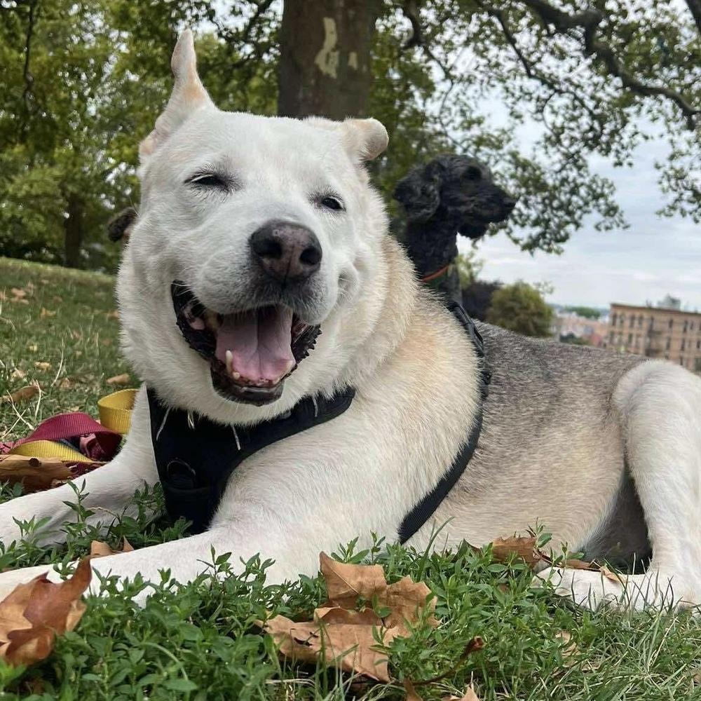 Akiko — thumbnail 6